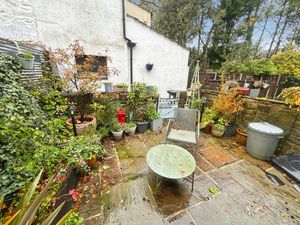 Yard- click for photo gallery